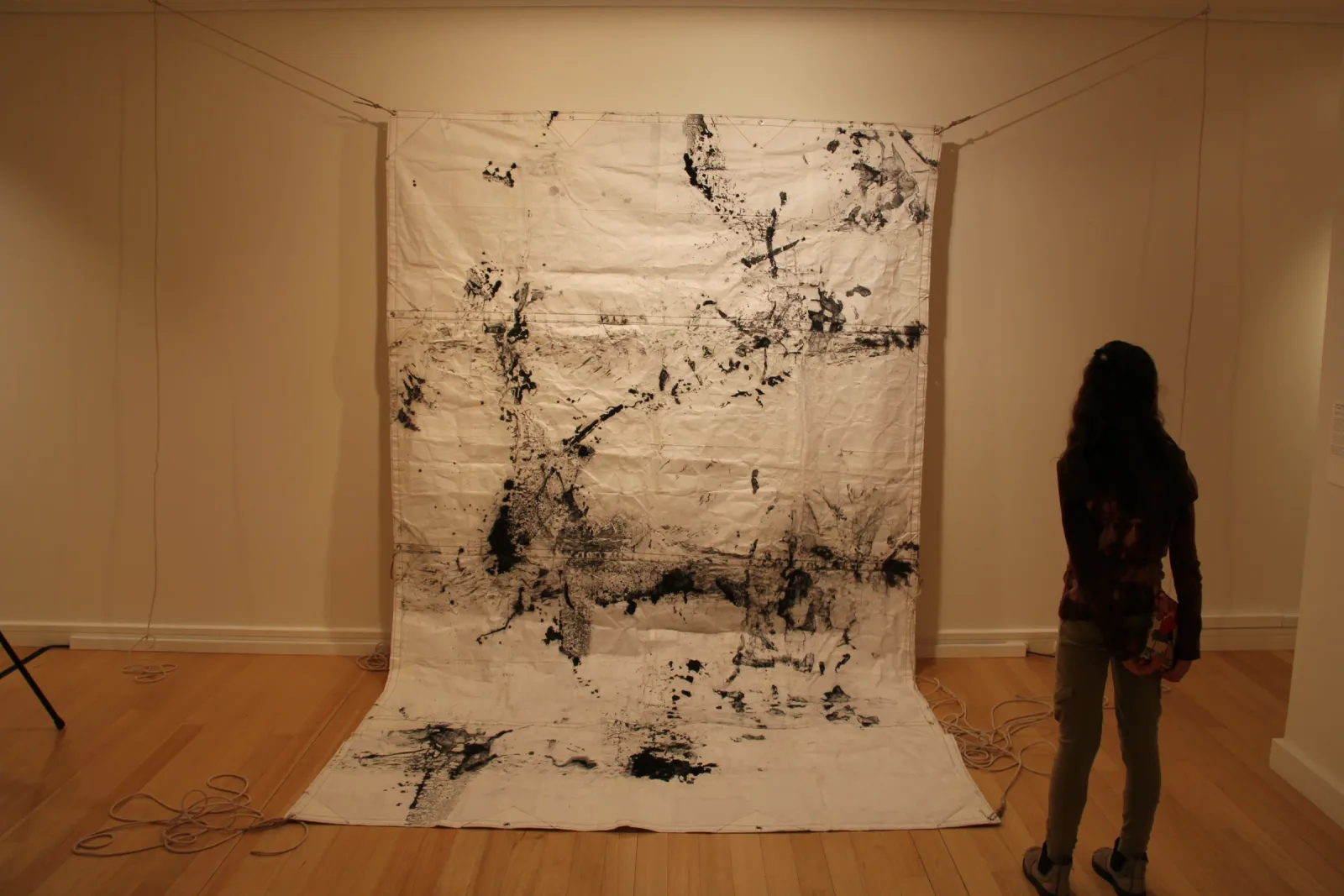 Shroud for an Ancient Basin installed at Redlands Gallery